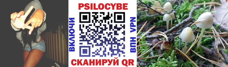 МЕГА сайт  Верхнеуральск  Псилоцибиновые грибы мухоморы 